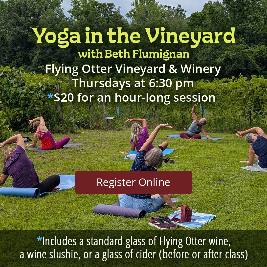 Yoga in the Vineyard Every Thursday