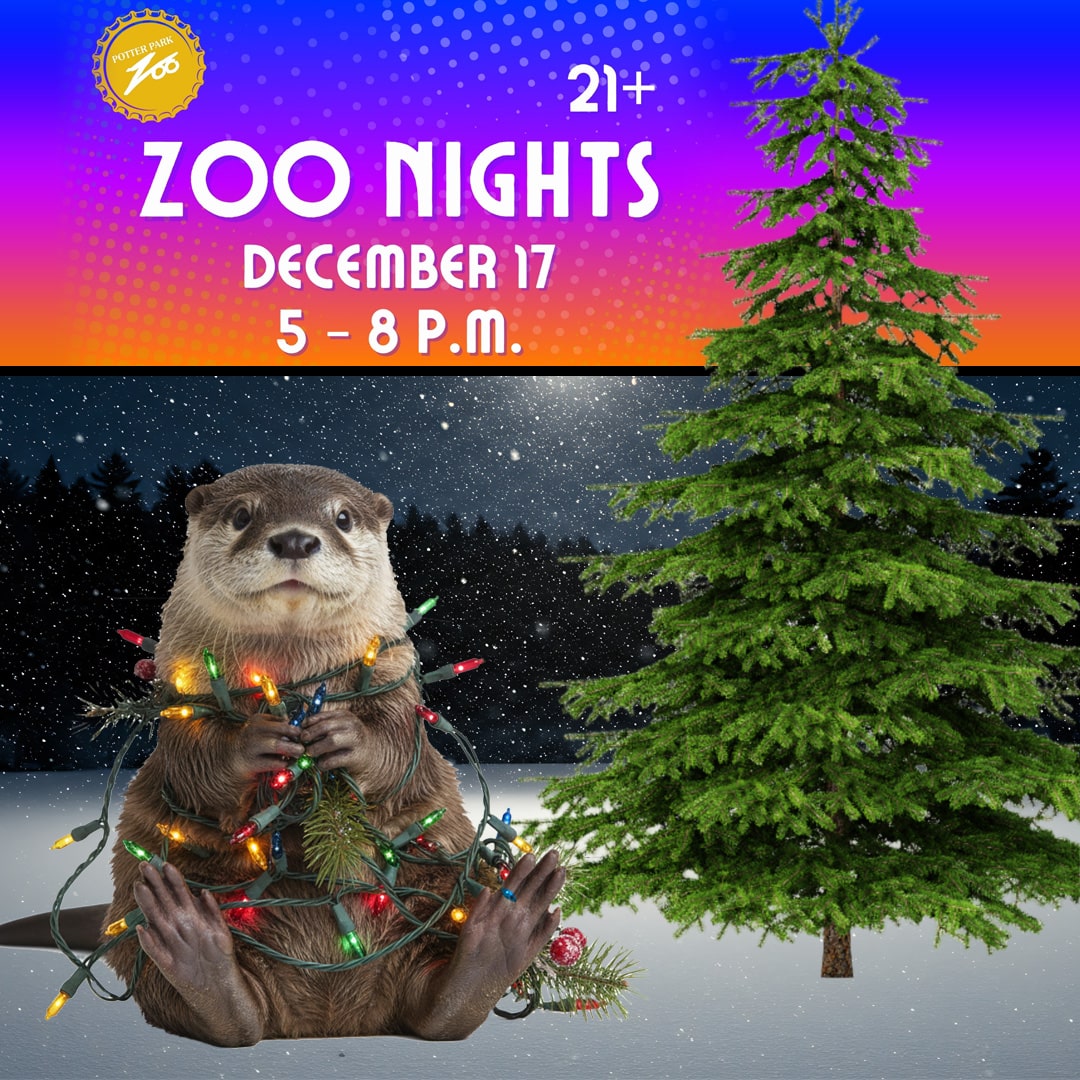 Detroit Zoo Nights with Lights